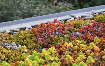 the cost of Sturton green roof installation