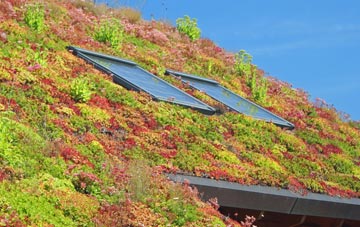 Sturton living roof systems